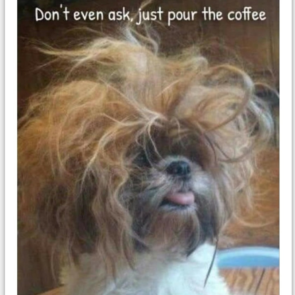 Meet your Posher, Mary